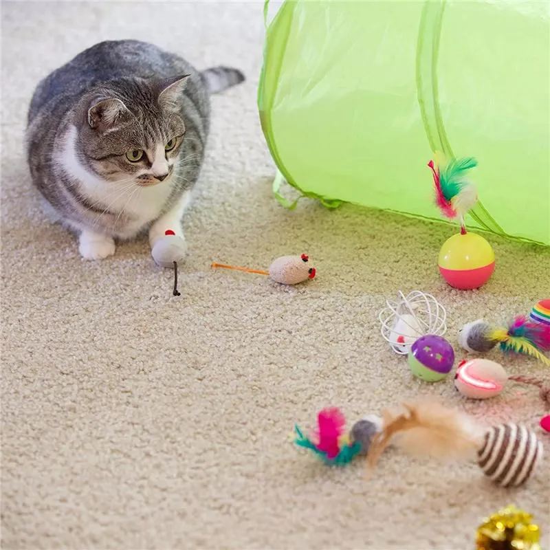 21pcs Cat Rod Mouse Feathers Balls Pet Play Toys