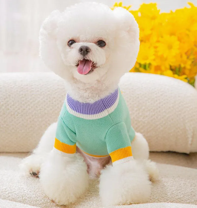 Autumn and winter fresh flower jacquard knitted cardigan puppy dog two-legged sweater