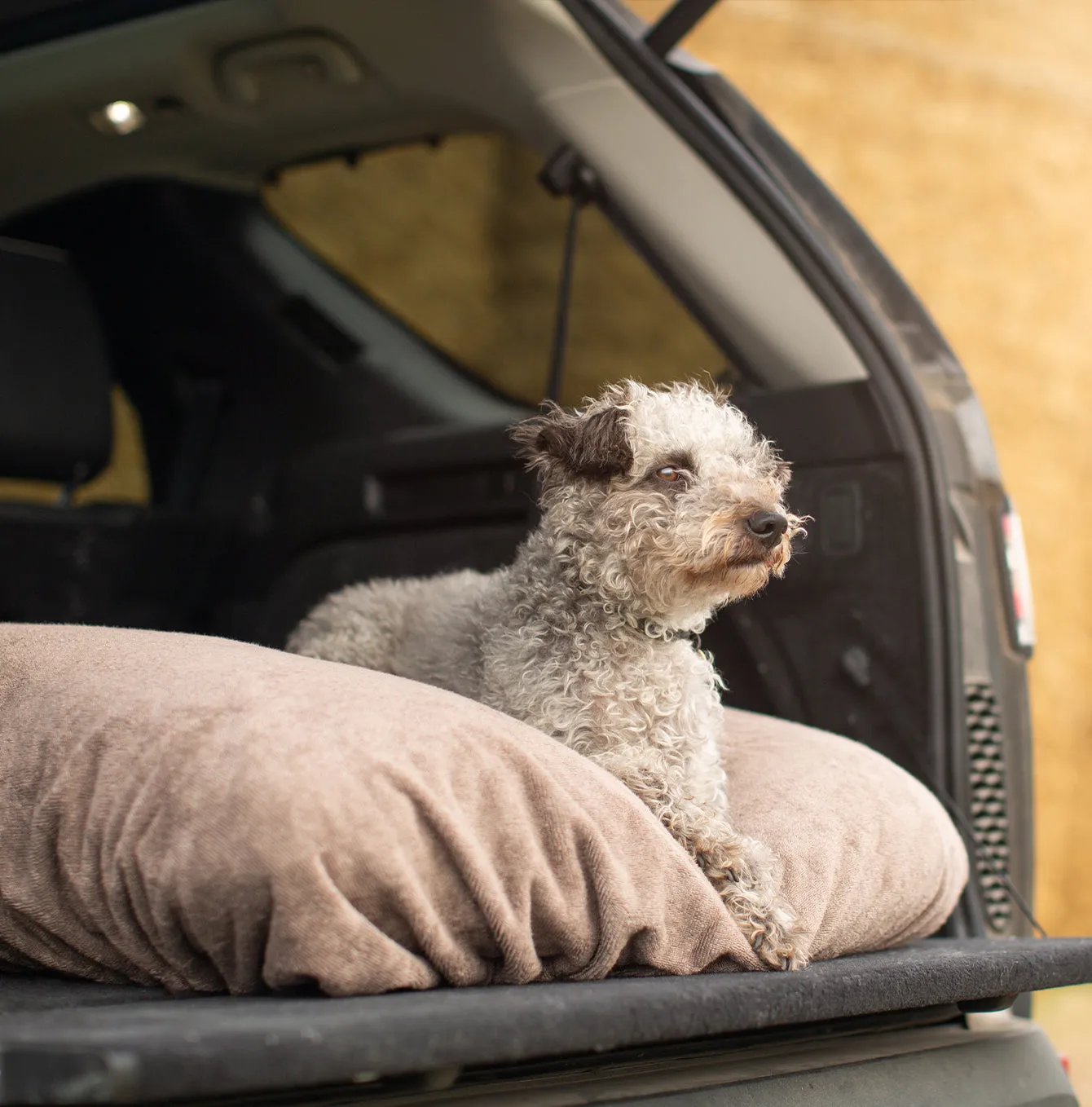 Bamboo Drying Cushion Cover in Mole by Lords & Labradors