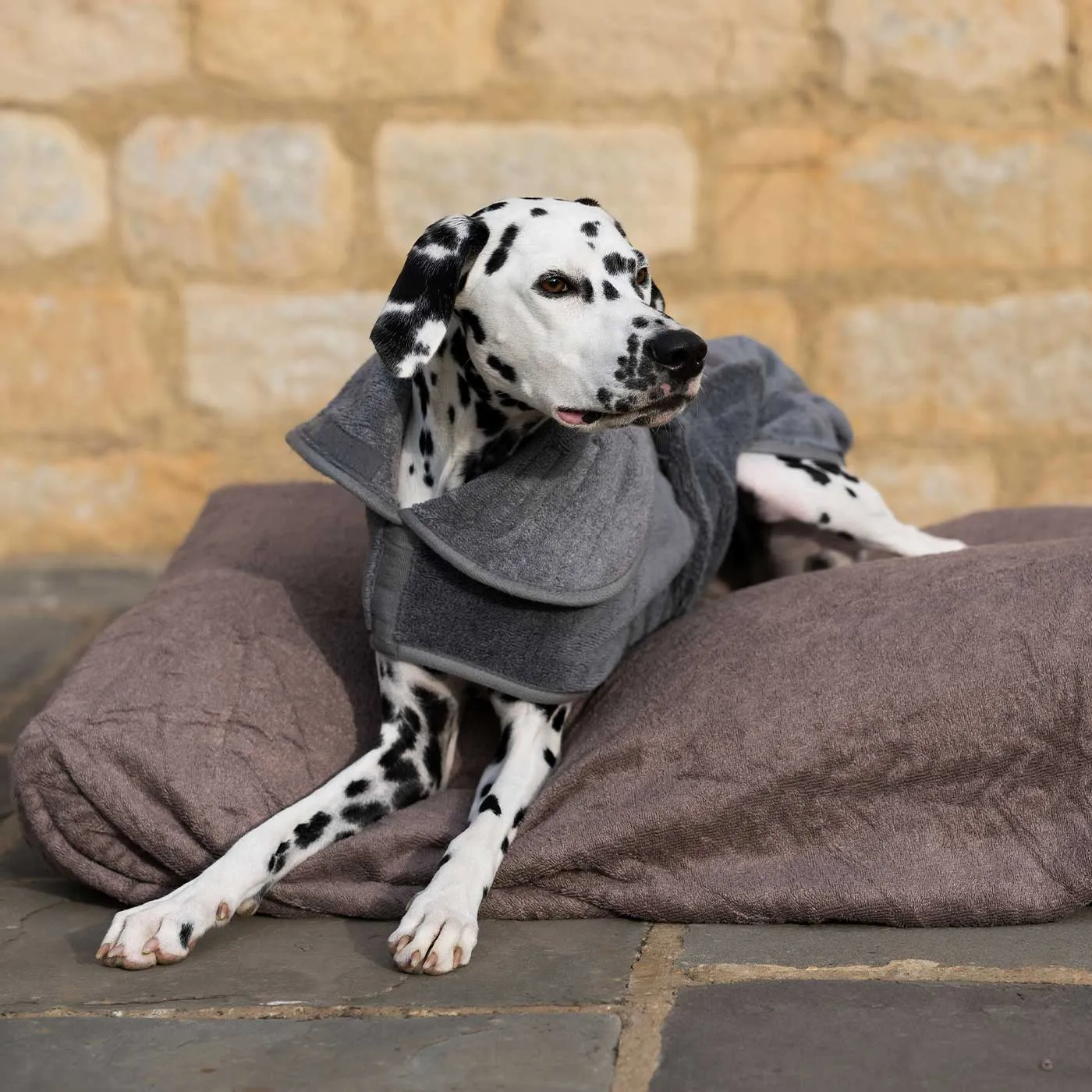 Bamboo Drying Cushion Cover in Mole by Lords & Labradors