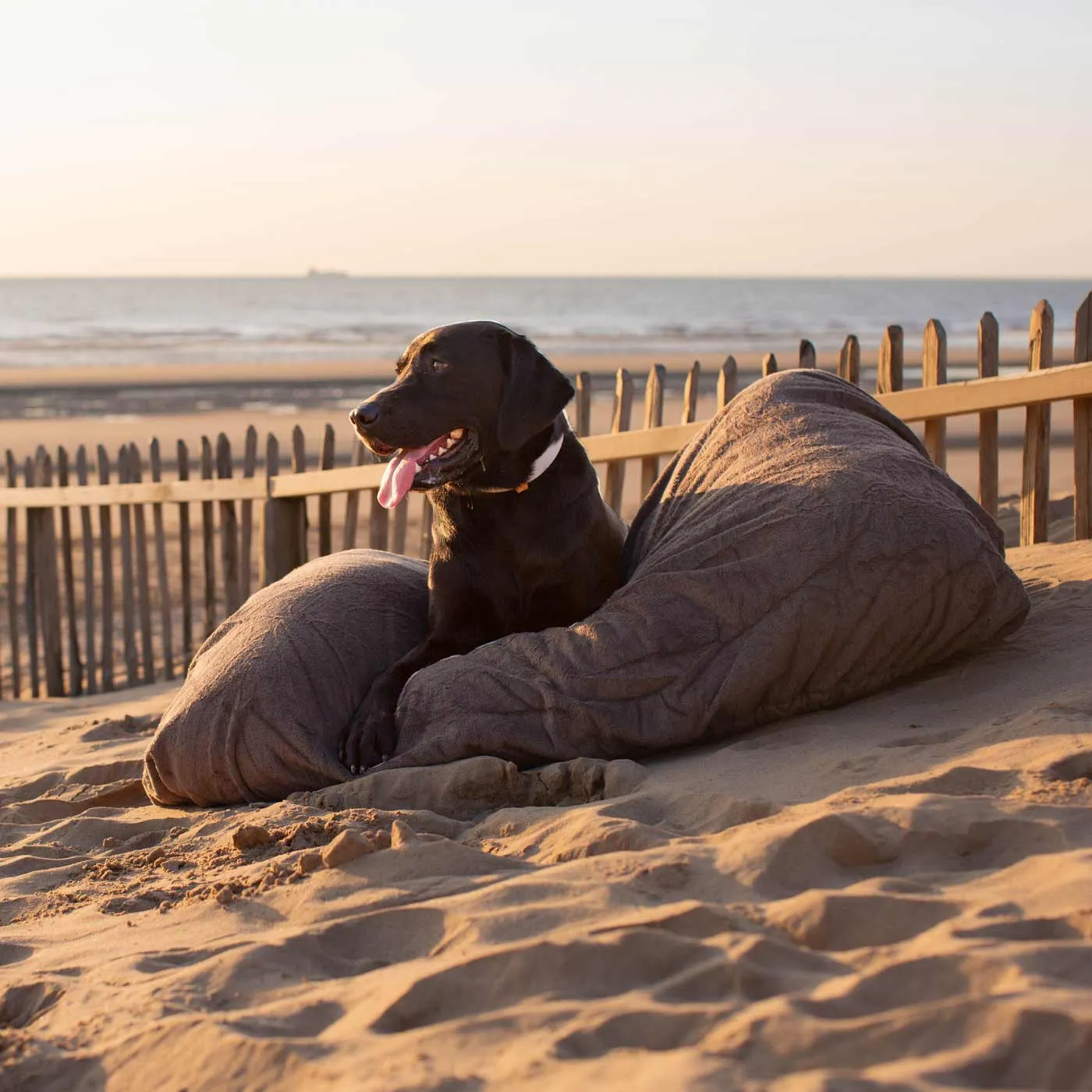 Bamboo Drying Cushion Cover in Mole by Lords & Labradors