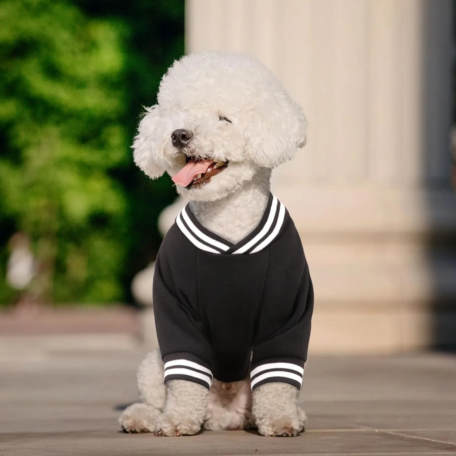 Baseball Jacket Dog Sweater Brushed Fleece Soft Warm Sweatshirt for Small Dogs Puppy Boy Girl Pet(Black-XS)