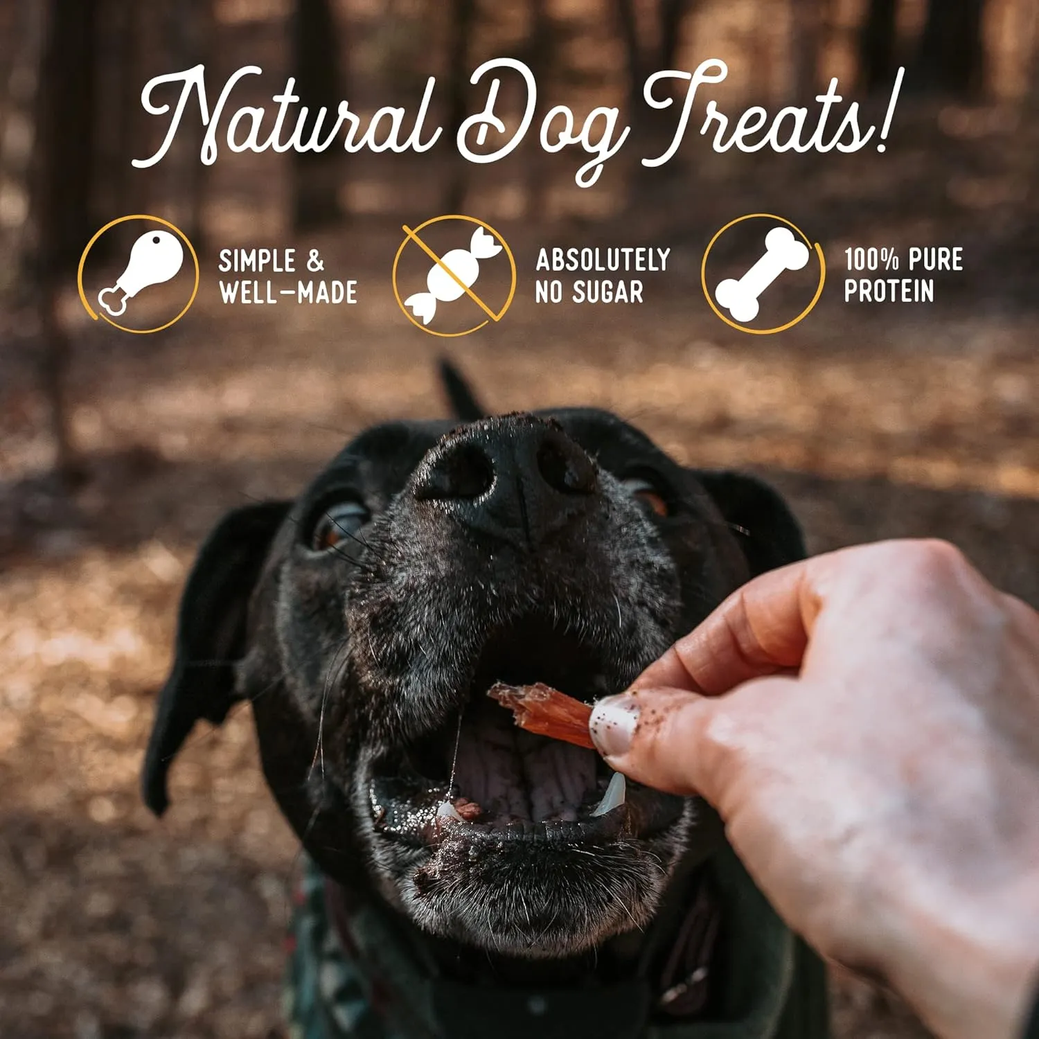 Beg & Barker Chicken, Beef Liver and Pork Jerky for Dogs (4 oz, Pack of 3) - Dog Training Treats - Natural Dog Treats Made in The USA - Grain Free, Diabetic-Friendly, High Protein, Sugar-Free