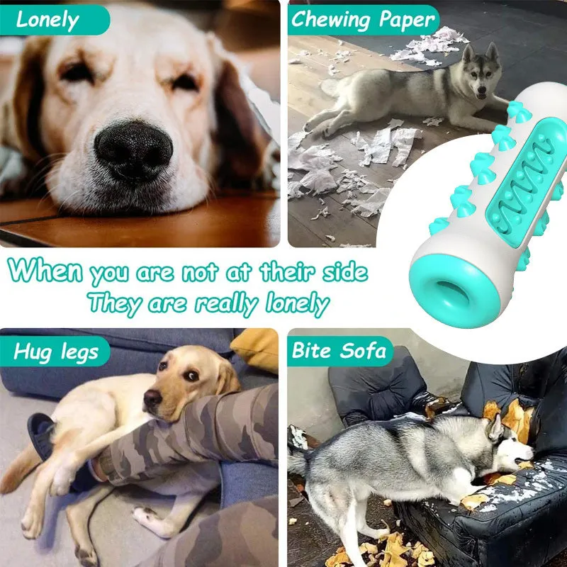 Bite Resistant Dental Dog Chew Squeaky Toys