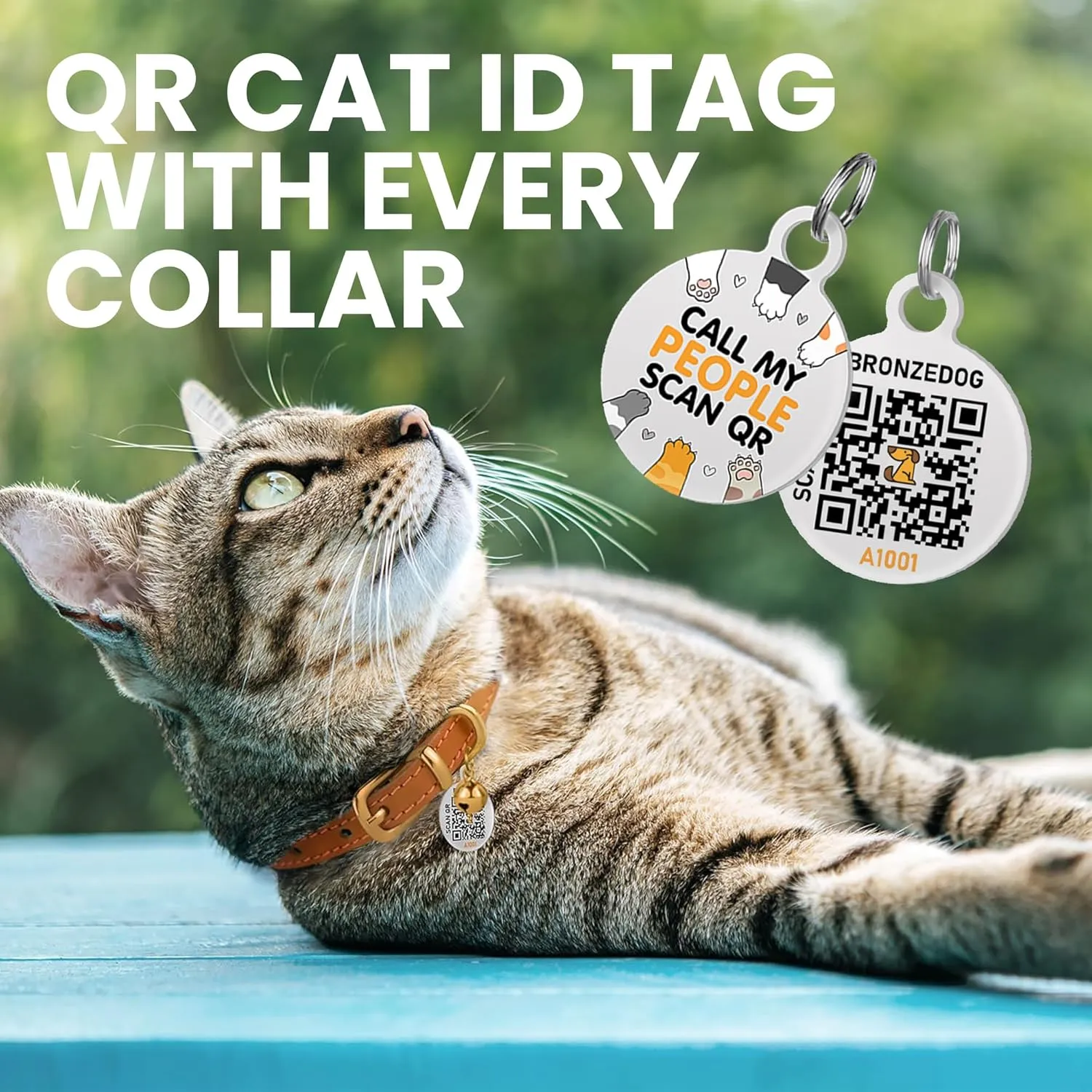 BRONZEDOG Leather Cat Collar with Removable Bells Non Breakaway Kitten QR Tag for Girl Boy (9" - 12" Cats/Mini Dogs, Pink & Gold)