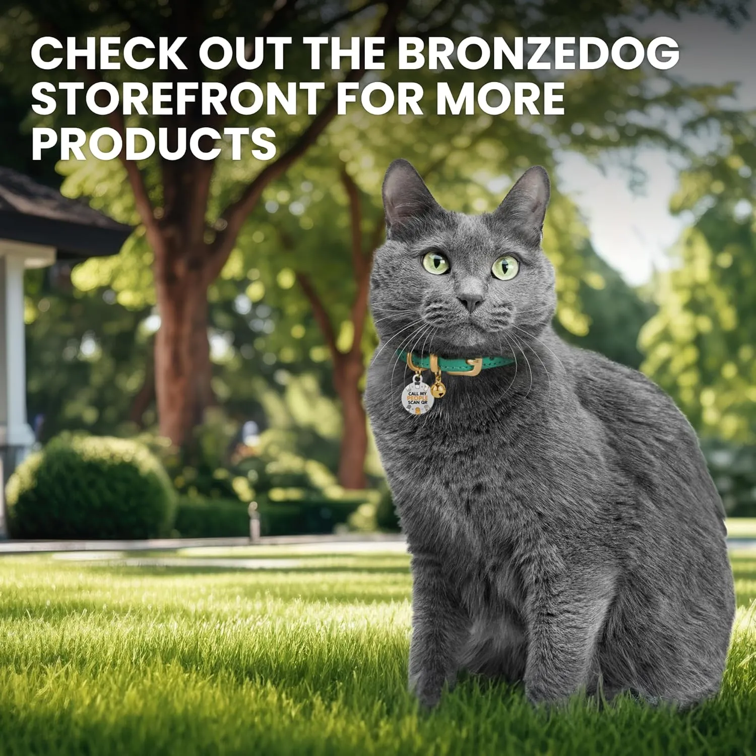 BRONZEDOG Leather Cat Collar with Removable Bells Non Breakaway Kitten QR Tag for Girl Boy (9" - 12" Cats/Mini Dogs, Pink & Gold)
