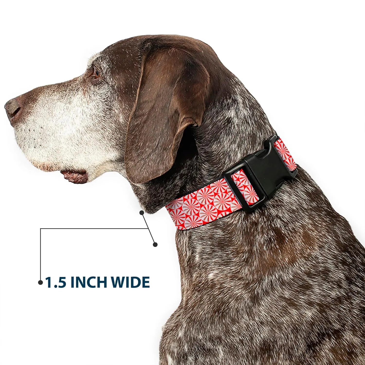 Buckle-Down 15-26" Peppermint Candies Plastic Clip Collar, Large