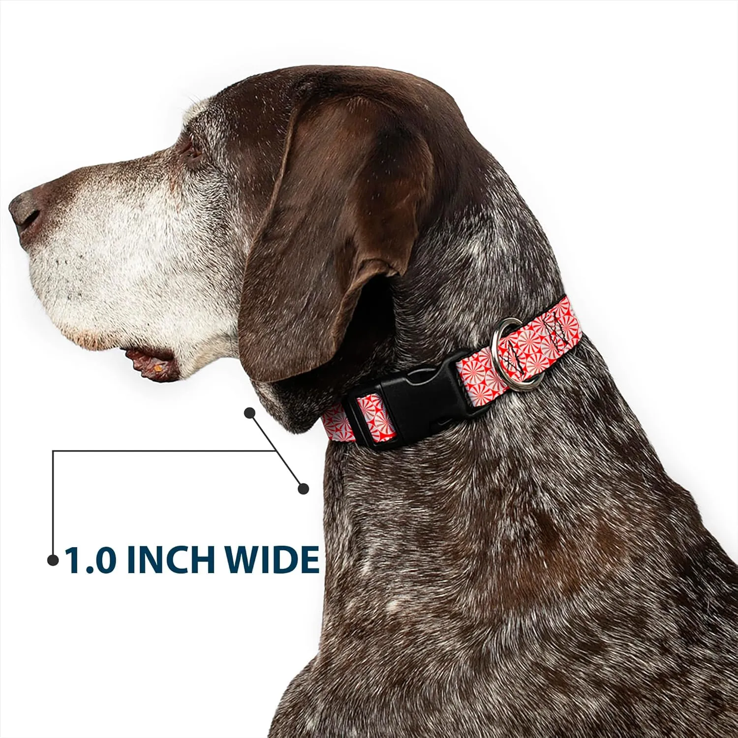 Buckle-Down 15-26" Peppermint Candies Plastic Clip Collar, Large