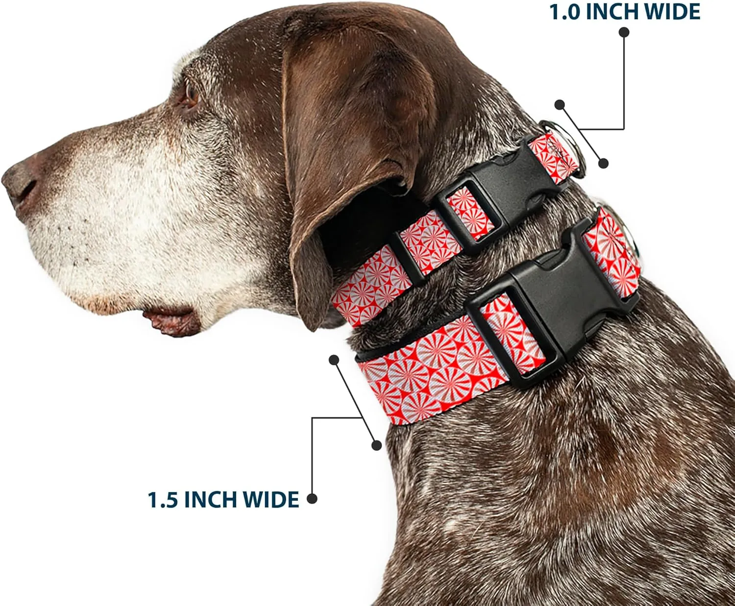 Buckle-Down 15-26" Peppermint Candies Plastic Clip Collar, Large