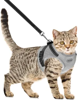 Cat Harness and Leash for Walking, Kitten Escape Proof Harnesses, Adjustable Reflective Puppy Harness with Leashes Set, Easy Adjustable Soft net Breathable Pet Safety Vest Grey