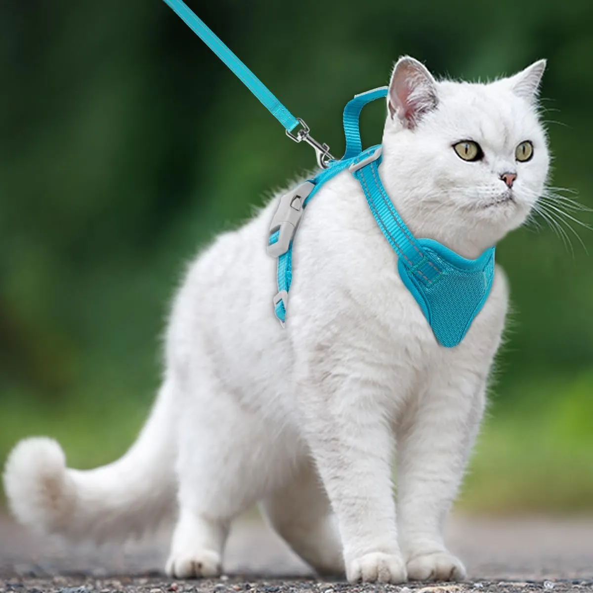 Cat Harness and Leash Set Escape Proof for Kitten Walking, Soft Adjustable Top Handle Vest Harnesses for Cats, Easy Control Breathable Reflective Small Medium Large, Blue,XS