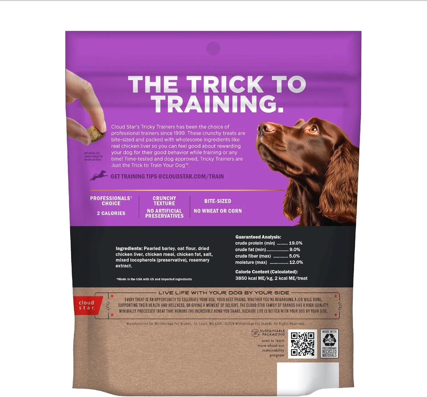 Cloud Star Tricky Trainers Crunchy Dog Training Treats 8 oz. Pouch, Chicken Liver Flavor, Low Calorie Behavior Aid with 450 treats