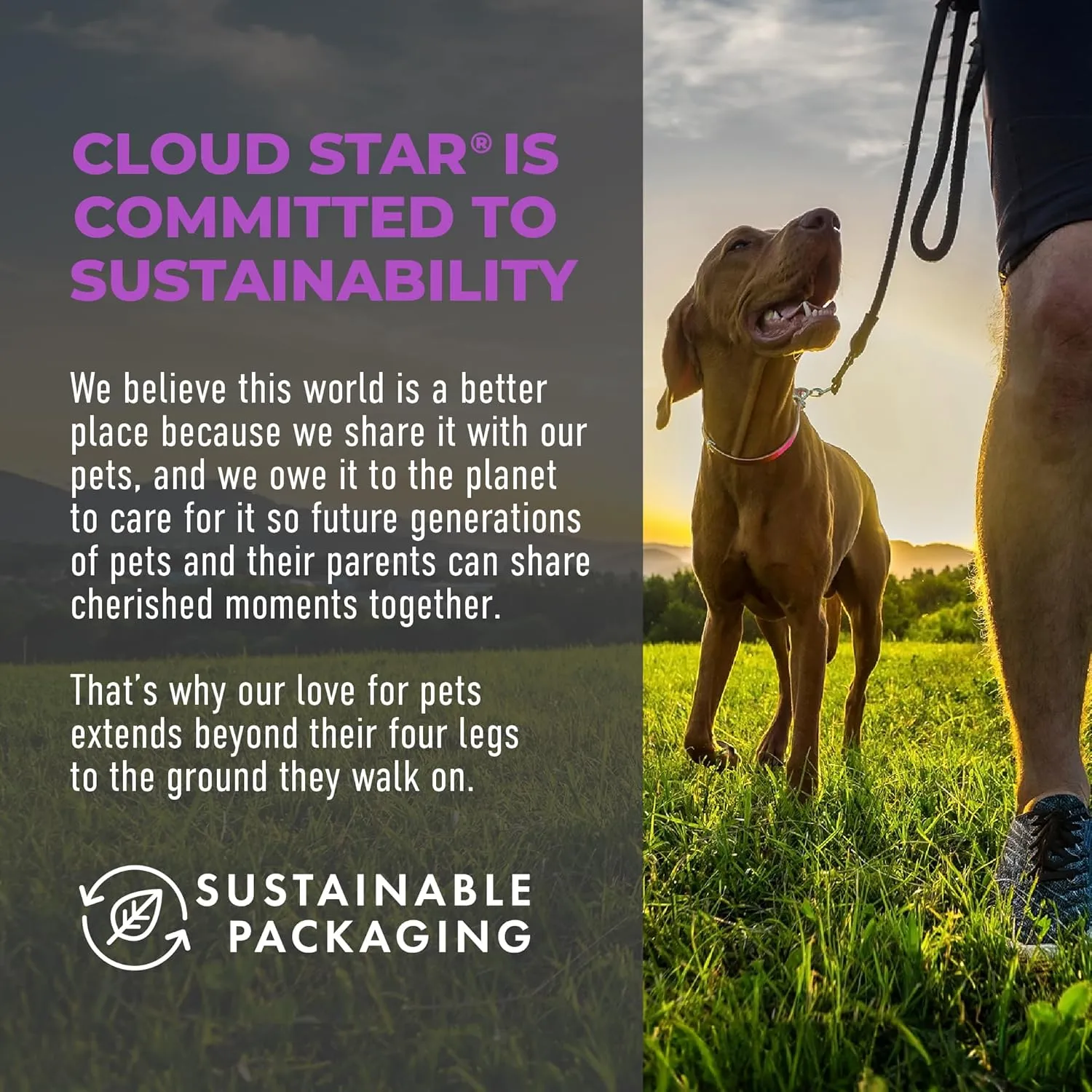 Cloud Star Tricky Trainers Crunchy Dog Training Treats 8 oz. Pouch, Chicken Liver Flavor, Low Calorie Behavior Aid with 450 treats