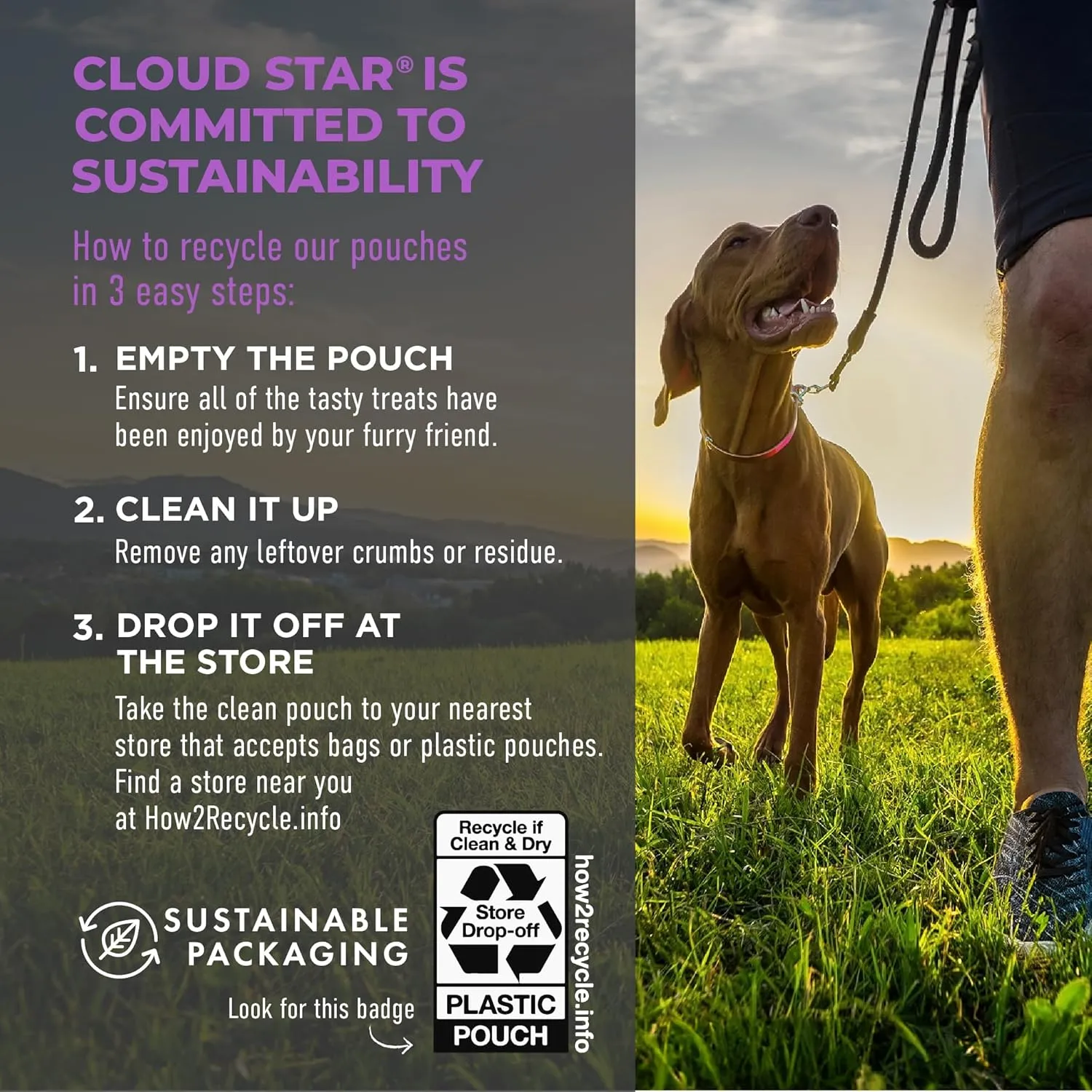 Cloud Star Tricky Trainers Soft & Chewy Dog Training Treats 5 oz Pouch, Liver Flavor, Low Calorie Behavior Aid with 130 treats