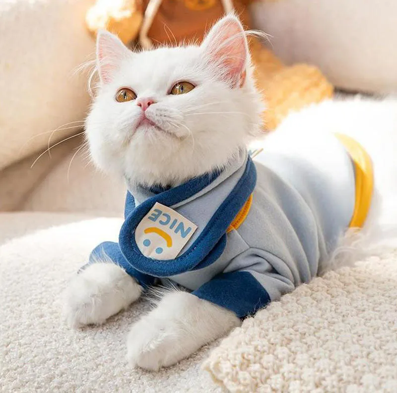 Contrast color smiley kitten bottoming shirt autumn and winter with scarf warm suit pet spring two-legged clothes