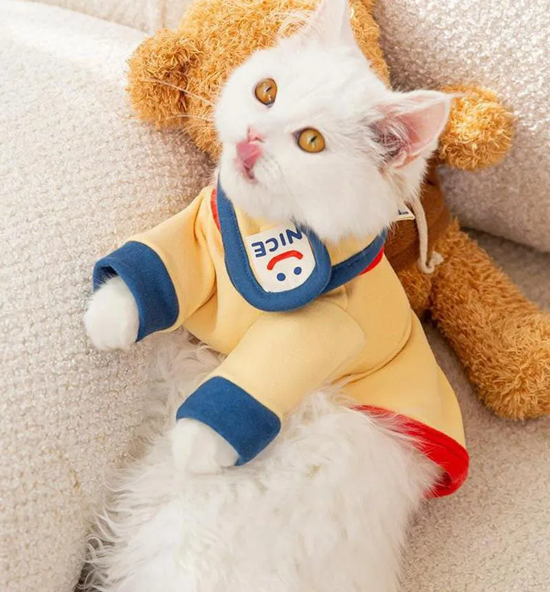 Contrast color smiley kitten bottoming shirt autumn and winter with scarf warm suit pet spring two-legged clothes