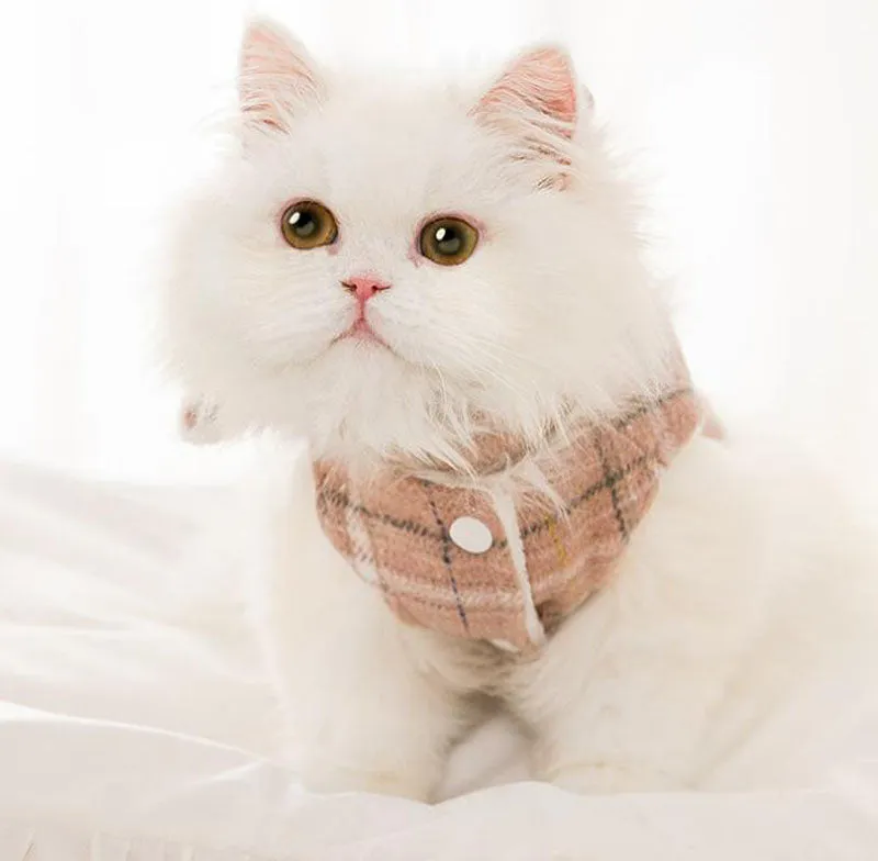 Contrast color smiley kitten bottoming shirt autumn and winter with scarf warm suit pet spring two-legged clothes
