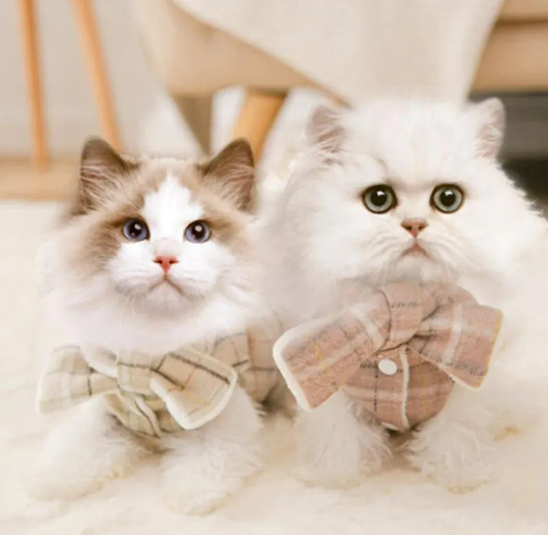 Contrast color smiley kitten bottoming shirt autumn and winter with scarf warm suit pet spring two-legged clothes