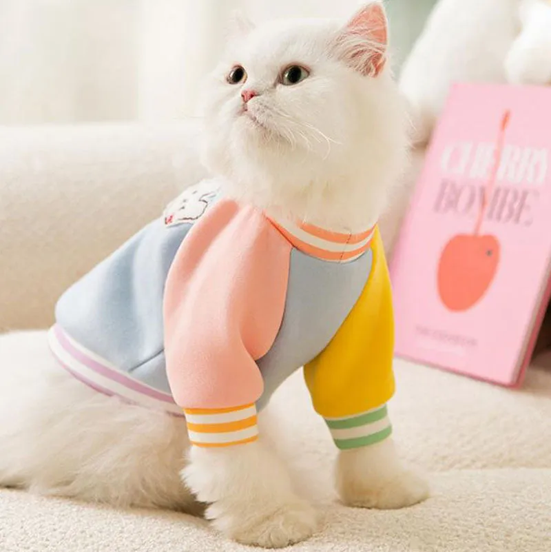 Contrast color smiley kitten bottoming shirt autumn and winter with scarf warm suit pet spring two-legged clothes