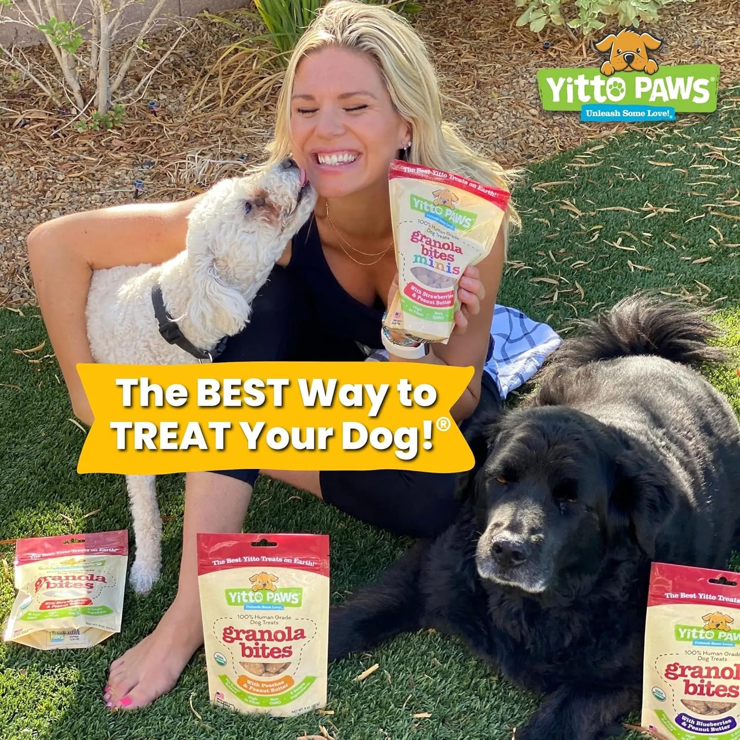 Crunchy Organic Blueberry Dog Treats, Oats & Peanut Butter Healthy Dog Treats, Vegan All Natural Dog Training Treats Made in USA Only  Low Calorie, Human-Grade, No Sugar Added Dog Biscuits