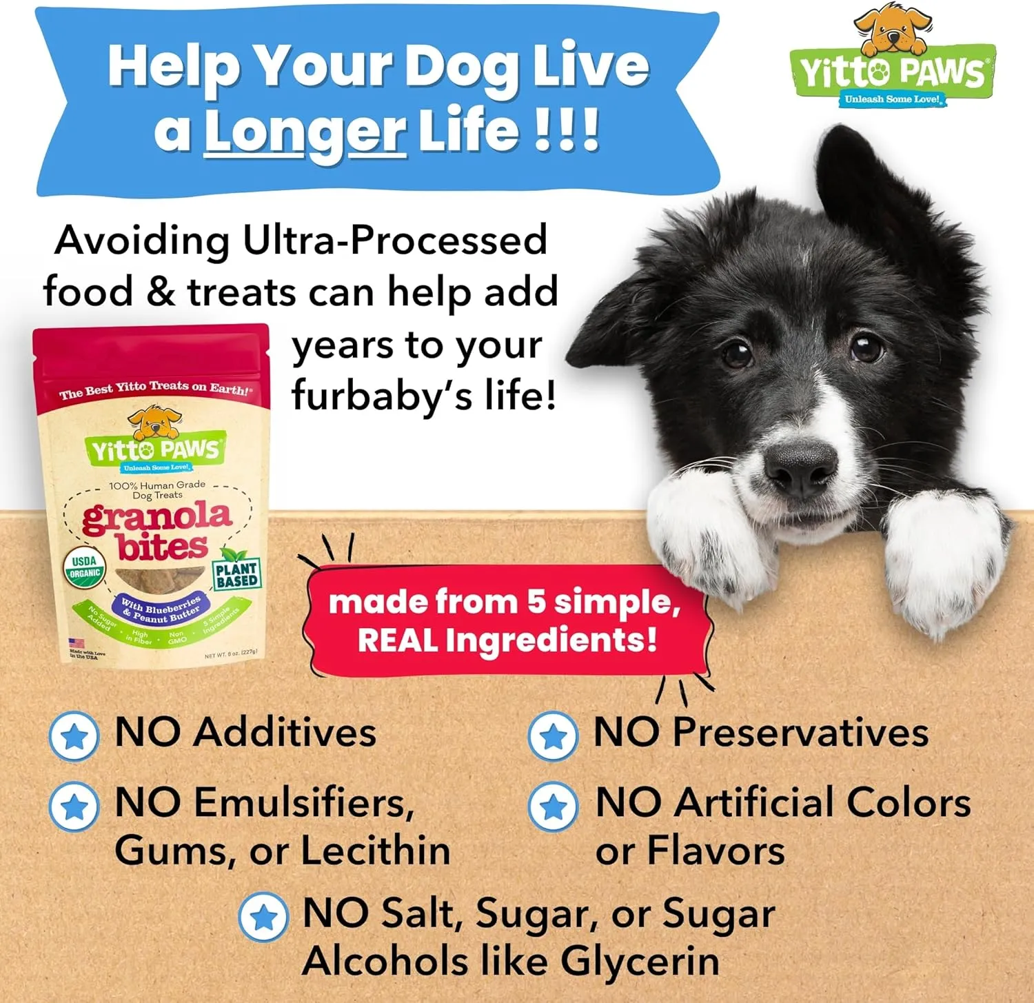 Crunchy Organic Blueberry Dog Treats, Oats & Peanut Butter Healthy Dog Treats, Vegan All Natural Dog Training Treats Made in USA Only  Low Calorie, Human-Grade, No Sugar Added Dog Biscuits