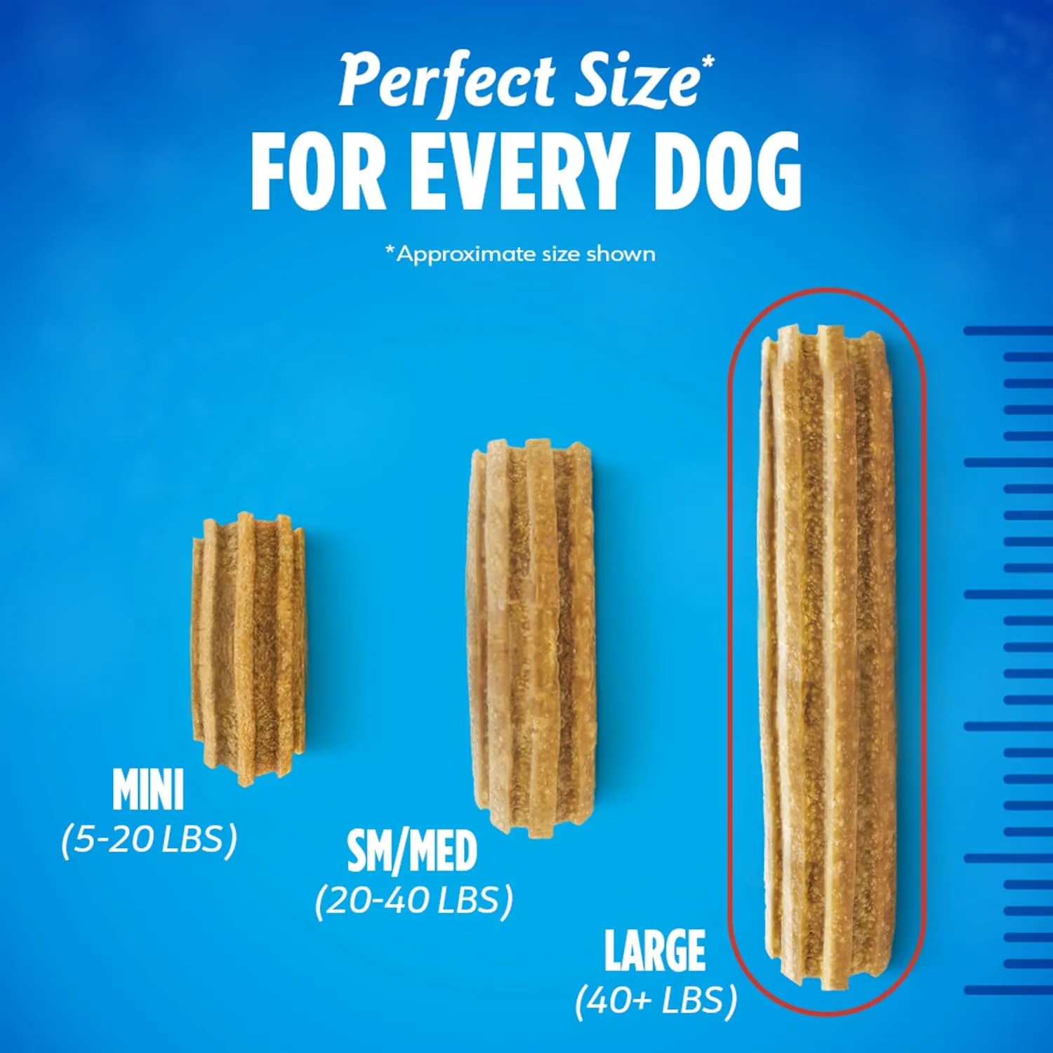 DentaLife Daily Oral Care Dog Treats for Large Dogs 40 plus lbs., Chewy Dental Treat to Freshen Breath and Fight Tartar, Chicken Flavor, 36 oz. each, 30 Chews each/60 Total Chews - 30 ct. Pouch