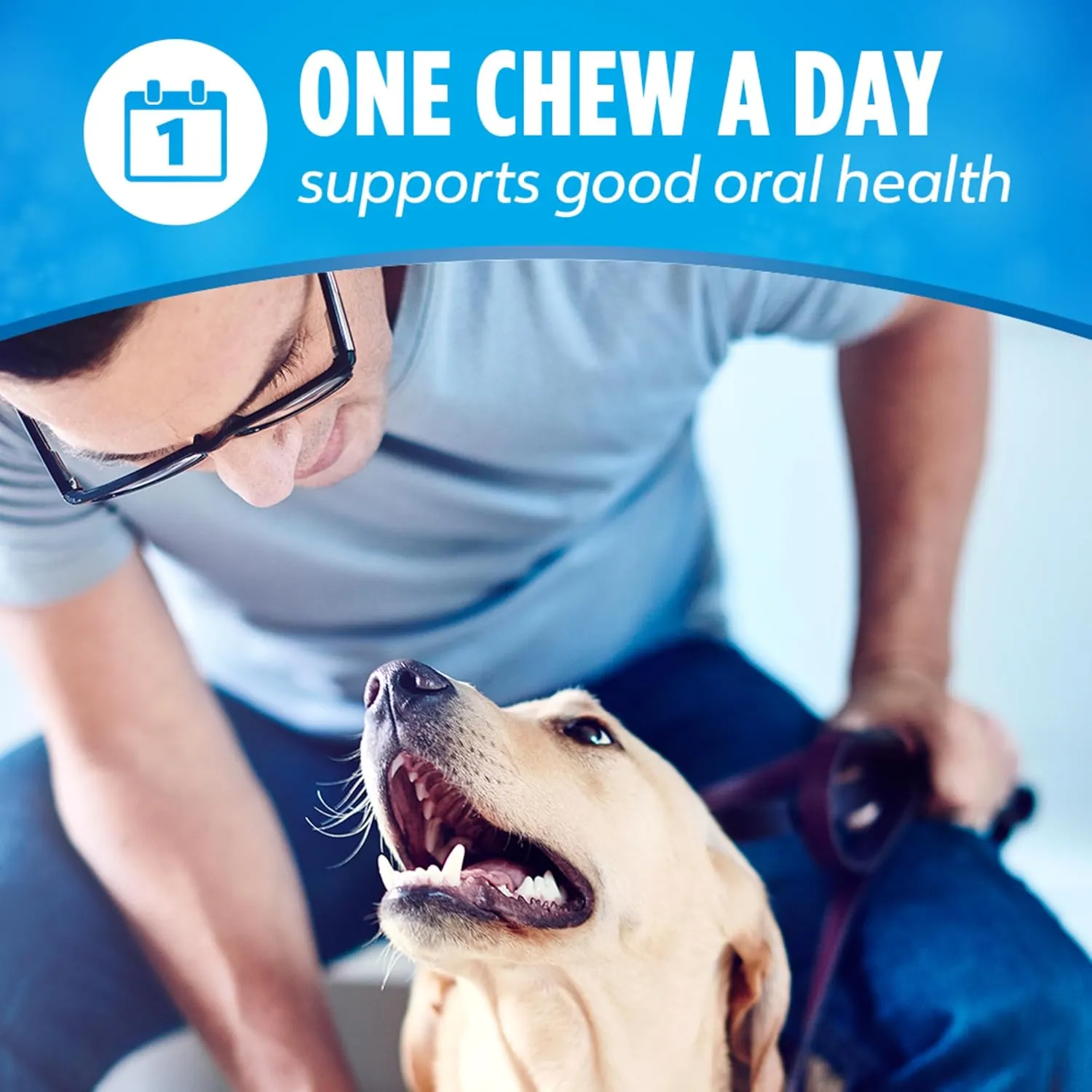 DentaLife Daily Oral Care Dog Treats for Large Dogs 40 plus lbs., Chewy Dental Treat to Freshen Breath and Fight Tartar, Chicken Flavor, 36 oz. each, 30 Chews each/60 Total Chews - 30 ct. Pouch