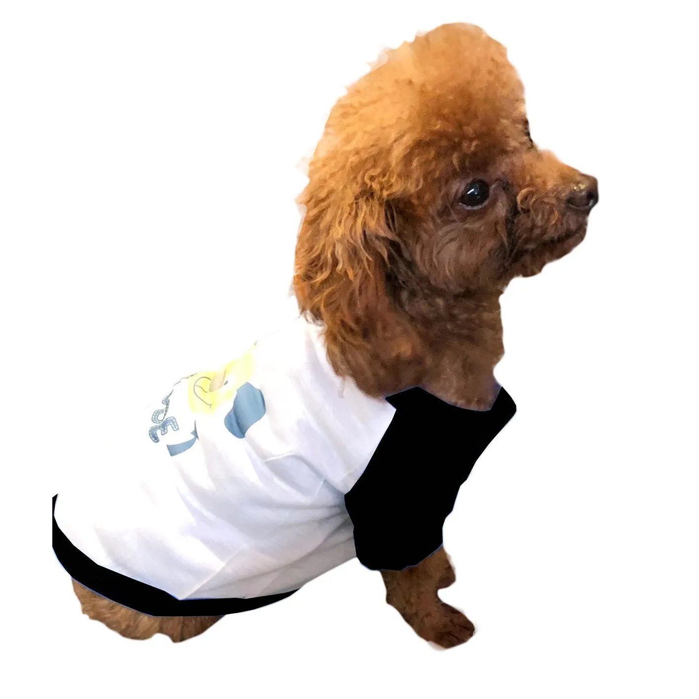 Dog Clothes - White & Black - Small