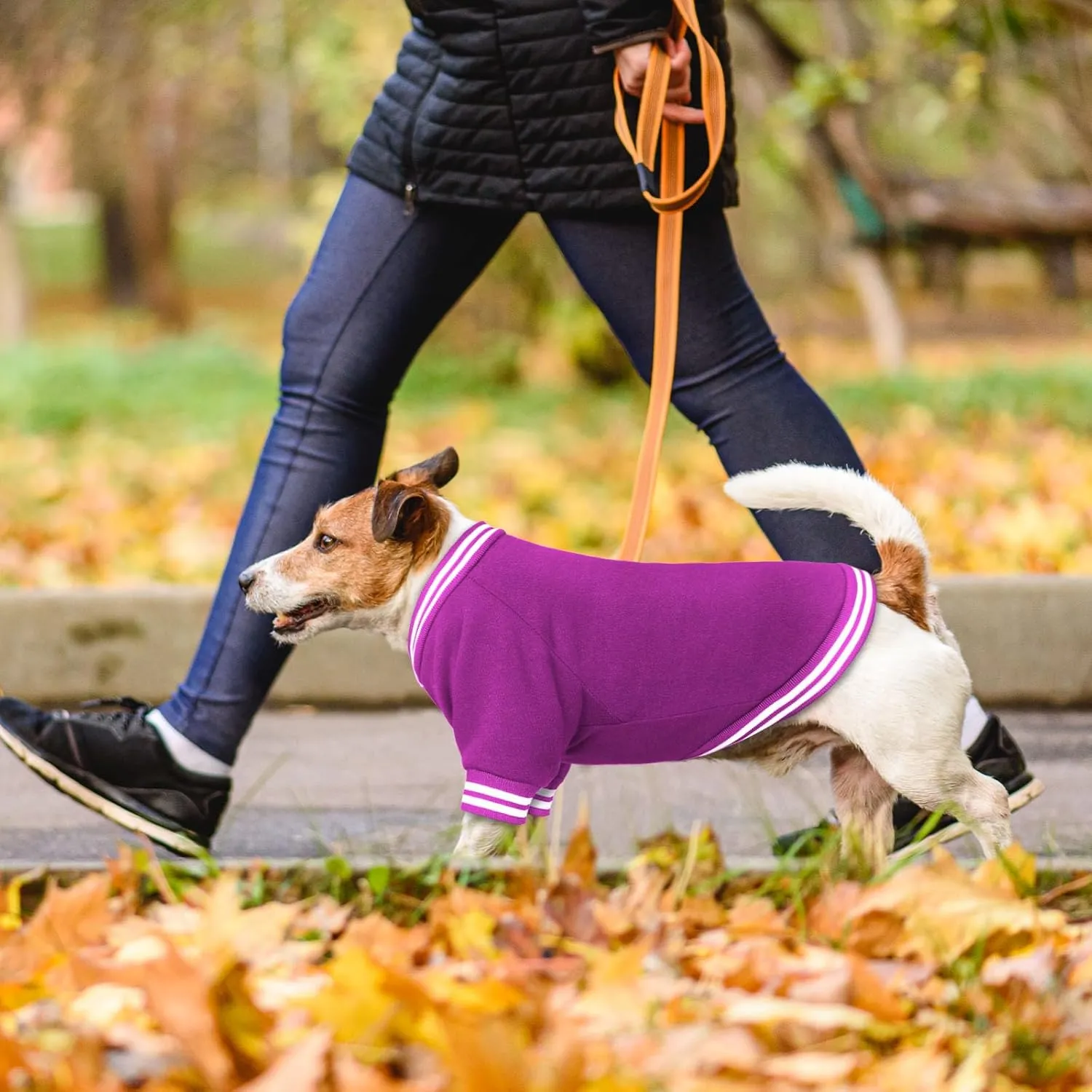 Dog Sweater Dog Clothes Brushed Fleece Baseball Jacket Soft Warm Dog Sweatshirt Dog Sweaters for Small Dogs Puppy Sweater Boy Girl Pet(Purple-XS)