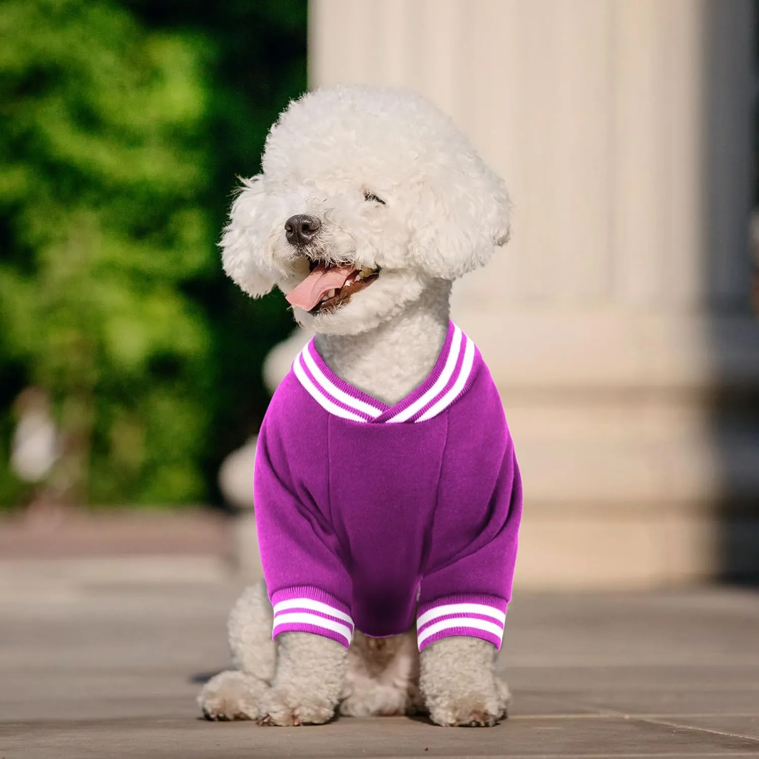 Dog Sweater Dog Clothes Brushed Fleece Baseball Jacket Soft Warm Dog Sweatshirt Dog Sweaters for Small Dogs Puppy Sweater Boy Girl Pet(Purple-XS)