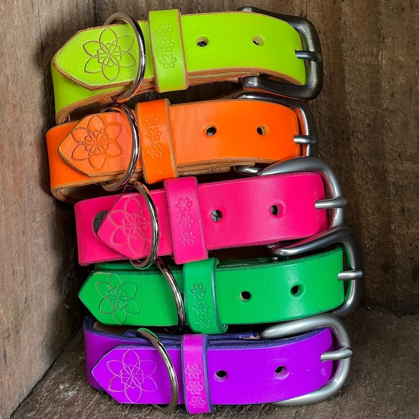 DOGGI Leashes