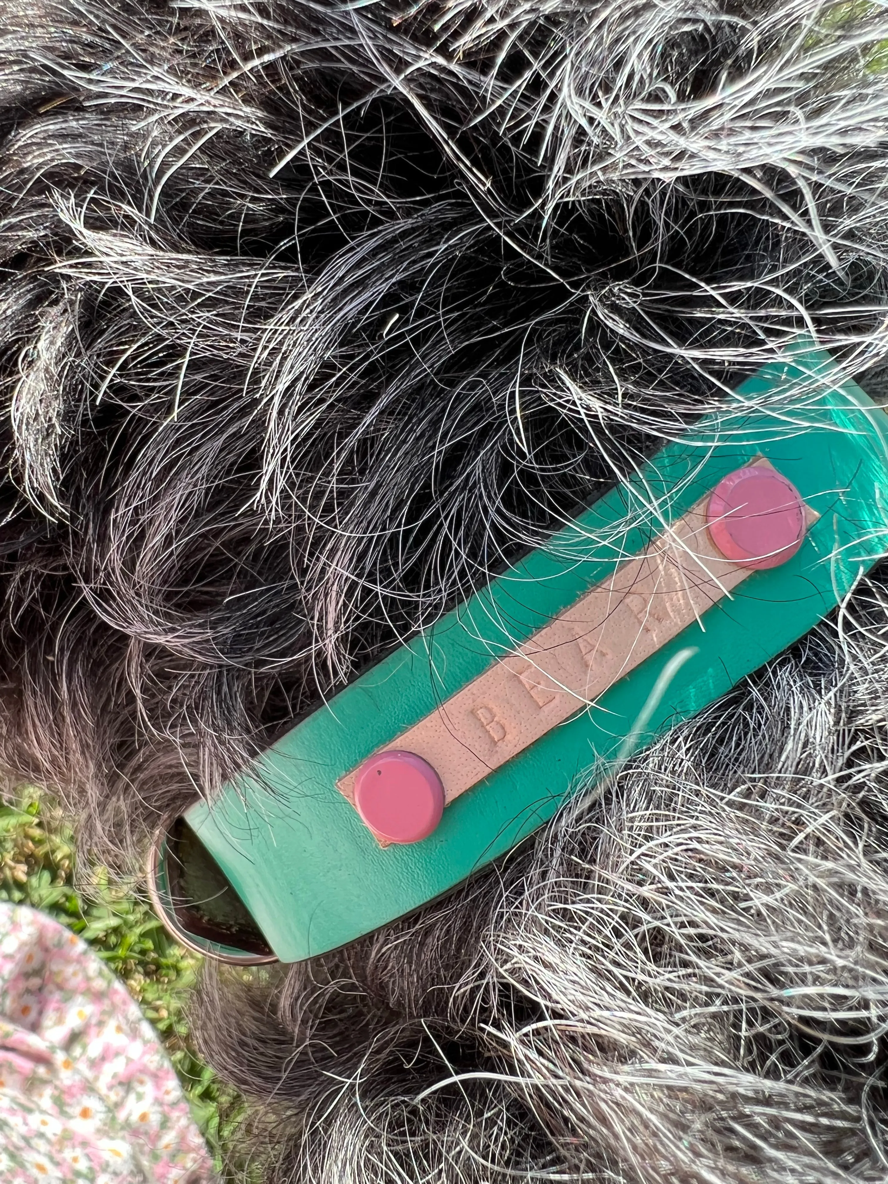 DOGGI Leashes