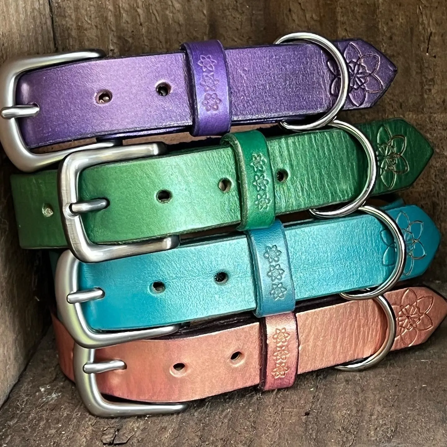 DOGGI Leashes