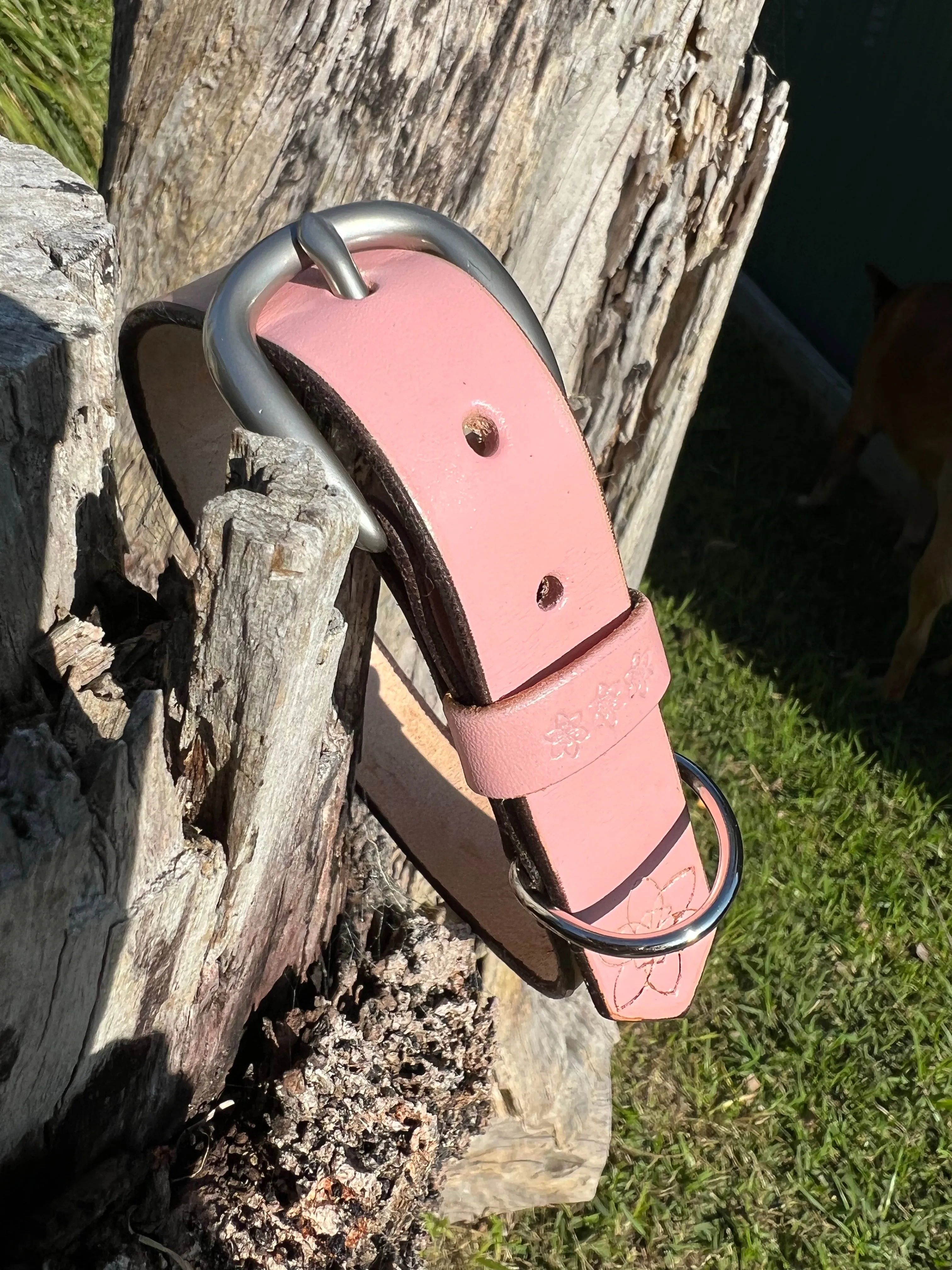 DOGGI Leashes