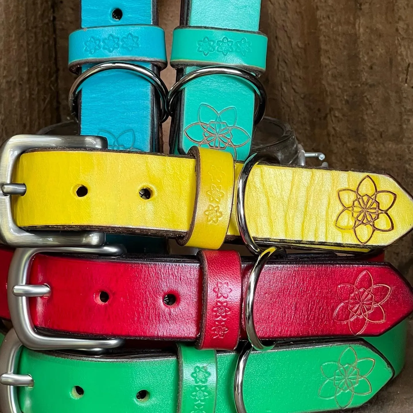 DOGGI Leashes