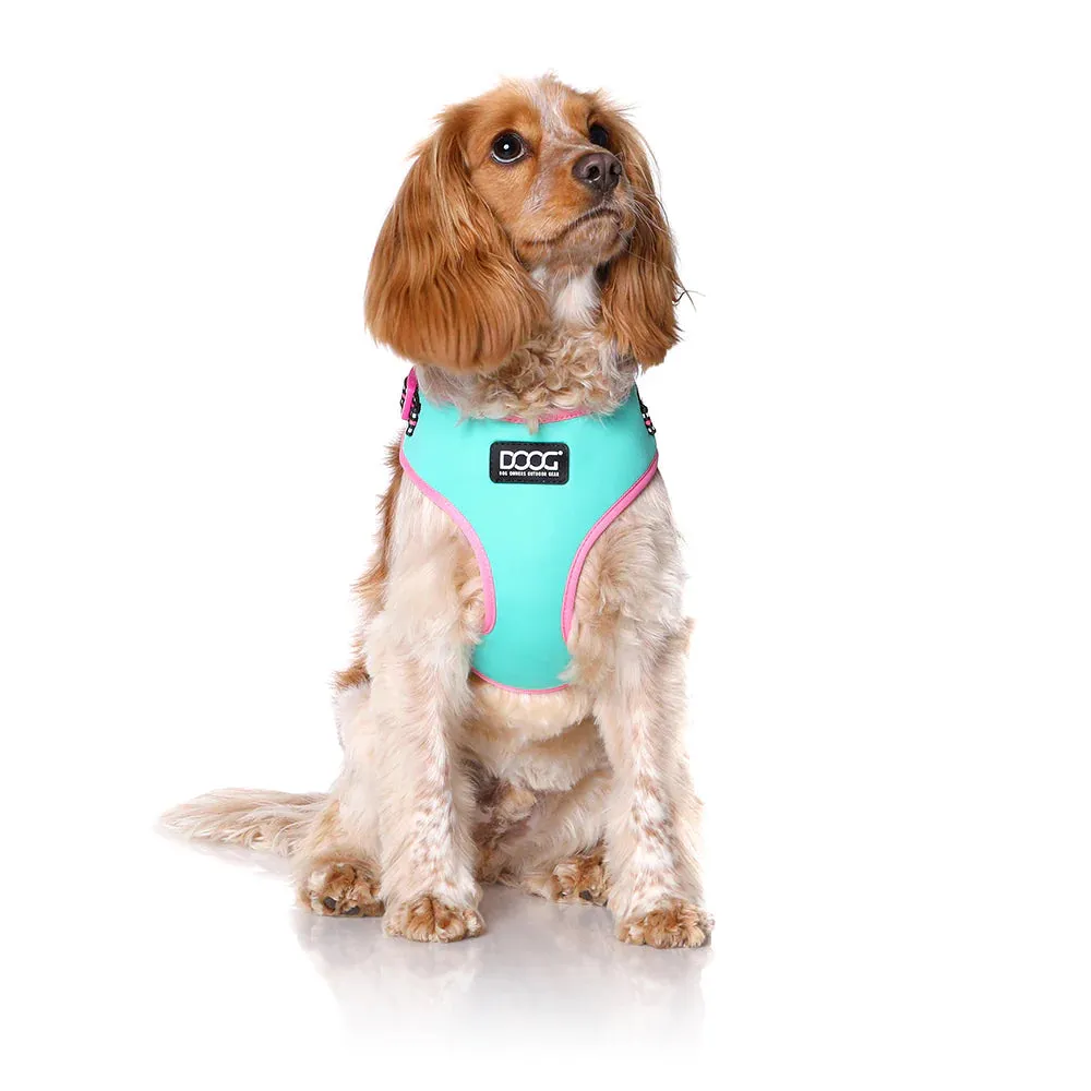 DOOG Neoflex Neoprene Rin Tin Tin Neon Teal and Pink Dog Harness Extra Small^^^