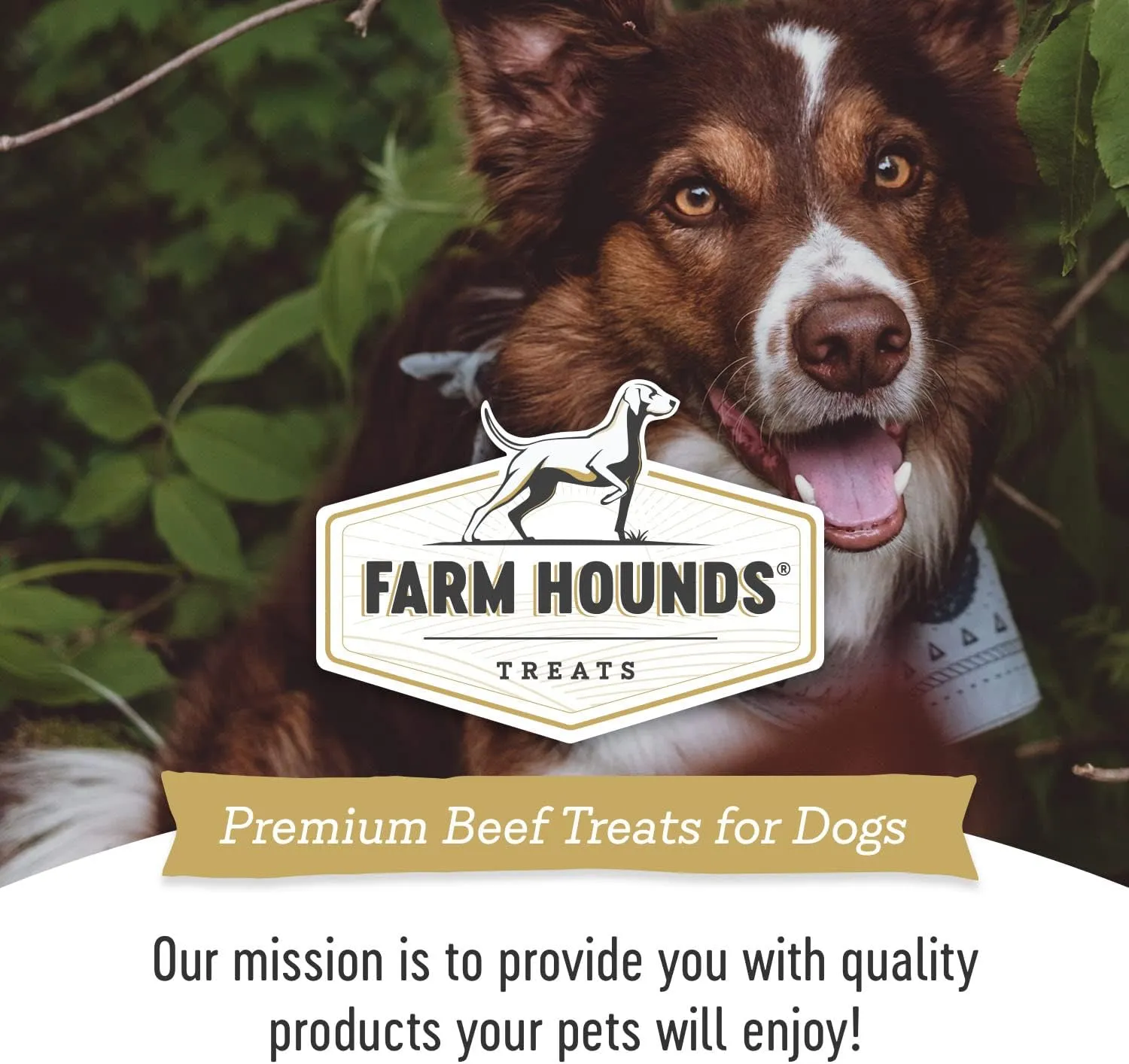 Farm Hounds - Beef Liver - Premium Natural Beef Liver Jerky For Dogs - Made From 100% Humanely Raised Cattle - Organ Treats - Great For Training & Treats - No Added Fillers - Made in USA - 4oz -1 Pack