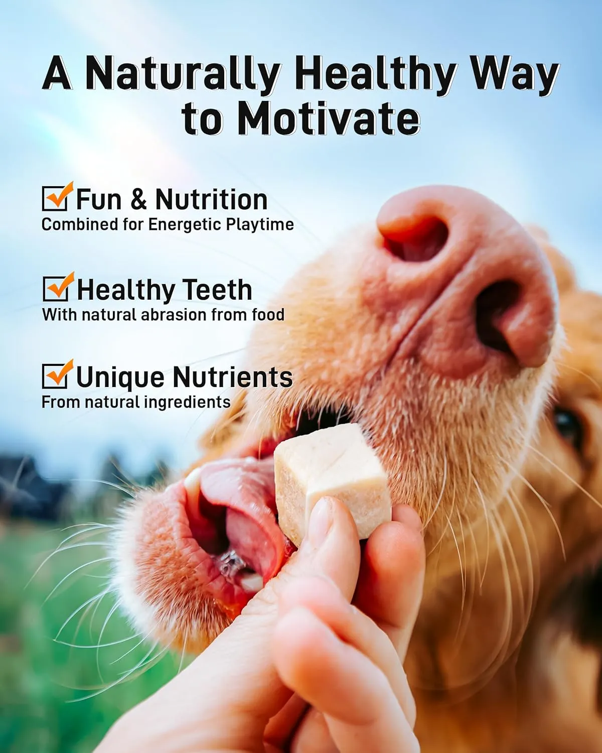 Freeze Dried Chicken Cats & Dogs Treats, Single Ingredient, Chicken Breast,Treats for Cats & Dogs | Gluten Free | Grain Free | Training & Nutrition Supplements3.52 oz