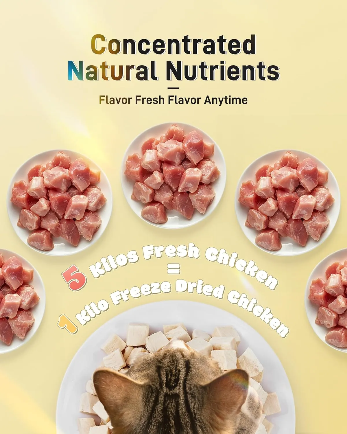 Freeze Dried Chicken Cats & Dogs Treats, Single Ingredient, Chicken Breast,Treats for Cats & Dogs | Gluten Free | Grain Free | Training & Nutrition Supplements3.52 oz
