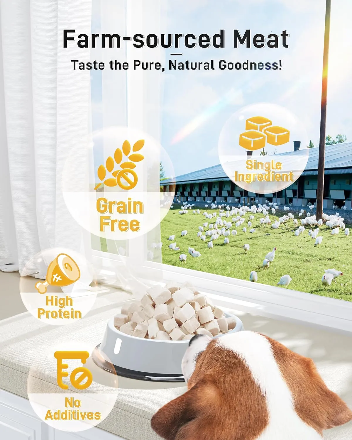Freeze Dried Chicken Cats & Dogs Treats, Single Ingredient, Chicken Breast,Treats for Cats & Dogs | Gluten Free | Grain Free | Training & Nutrition Supplements3.52 oz