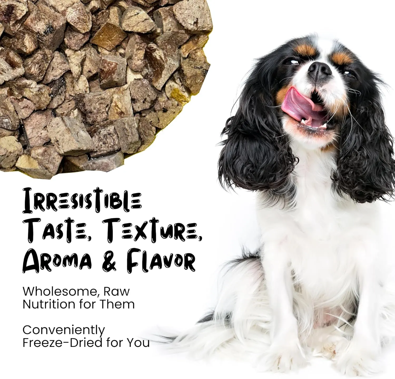 Freeze Dried Chicken Liver Treats for Cats & Dogs - Single Ingredient All Natural Grain-Free, High Protein, Made in USA - Perfect for Training, Topper or Snack (Chicken Liver, 6 Ounce)