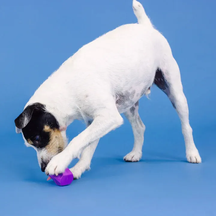 Fringe Dog Toy Rubber Adora-Ball