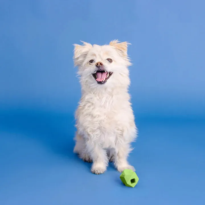 Fringe Dog Toy Rubber Adora-Ball