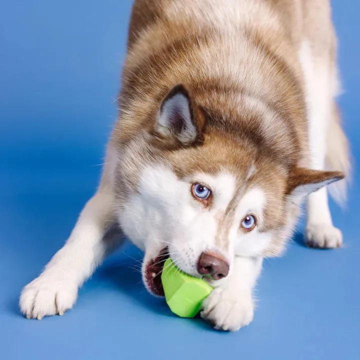 Fringe Dog Toy Rubber Adora-Ball