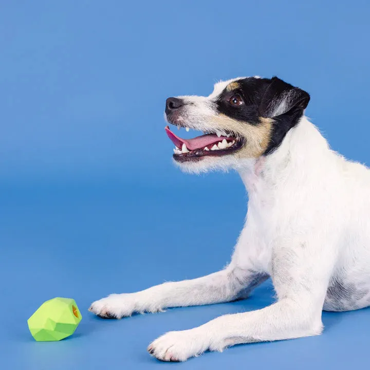 Fringe Dog Toy Rubber Adora-Ball
