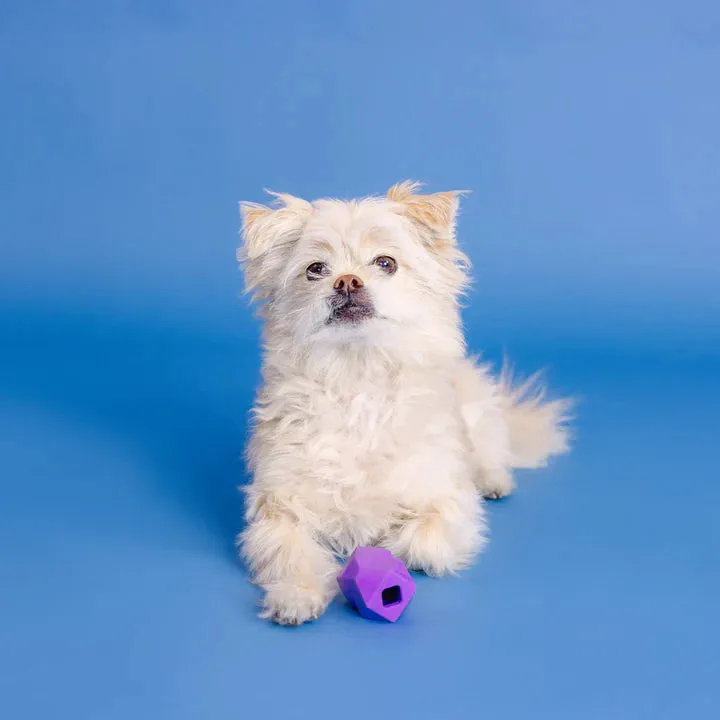 Fringe Dog Toy Rubber Adora-Ball