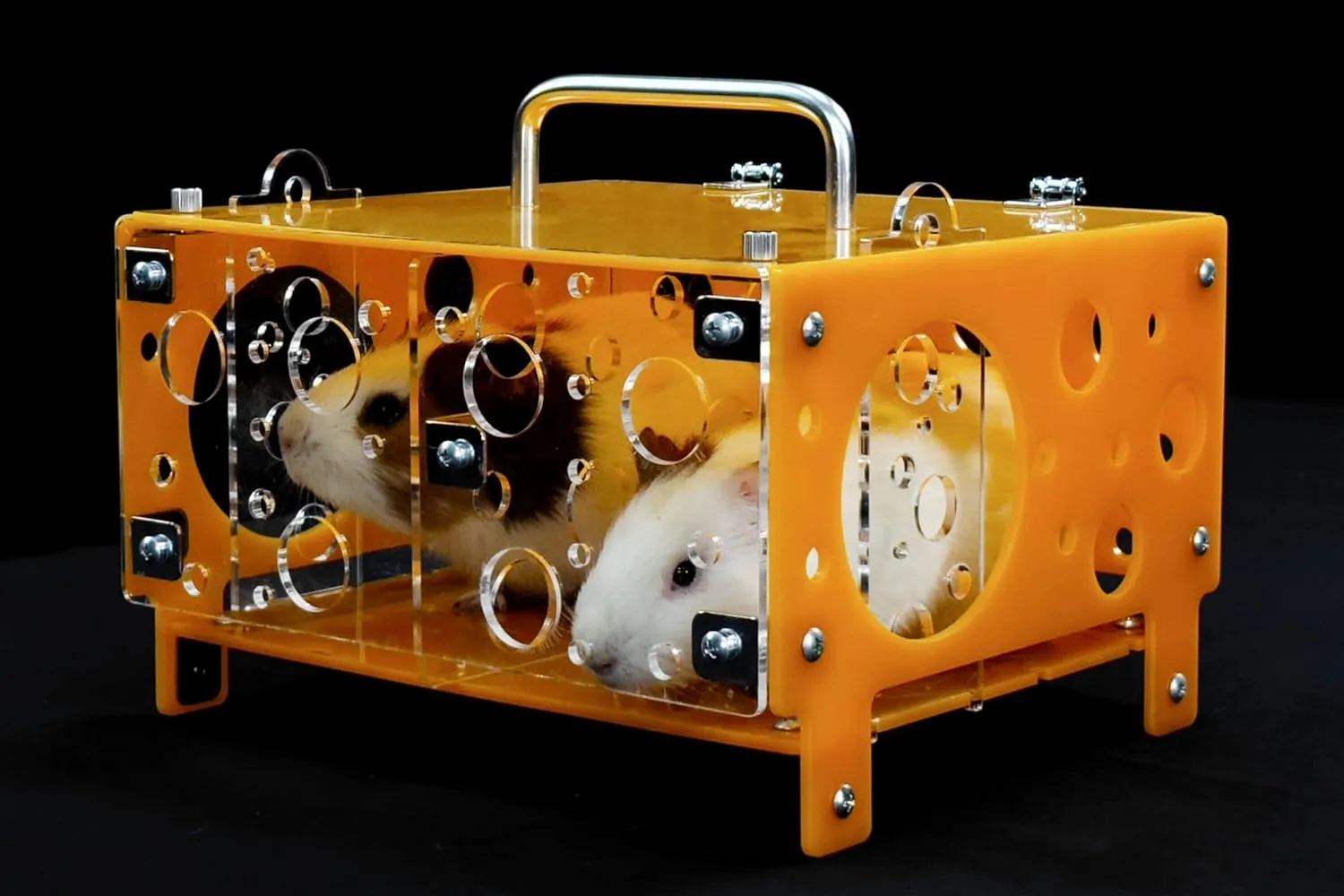 GuineaLoft Guinea Pig Cheese House (Double) V2 - The Ultimate Guinea Pig Hideout by Seasoned Owners Who Tried Everything Out There - Exclusive by Guinea Loft