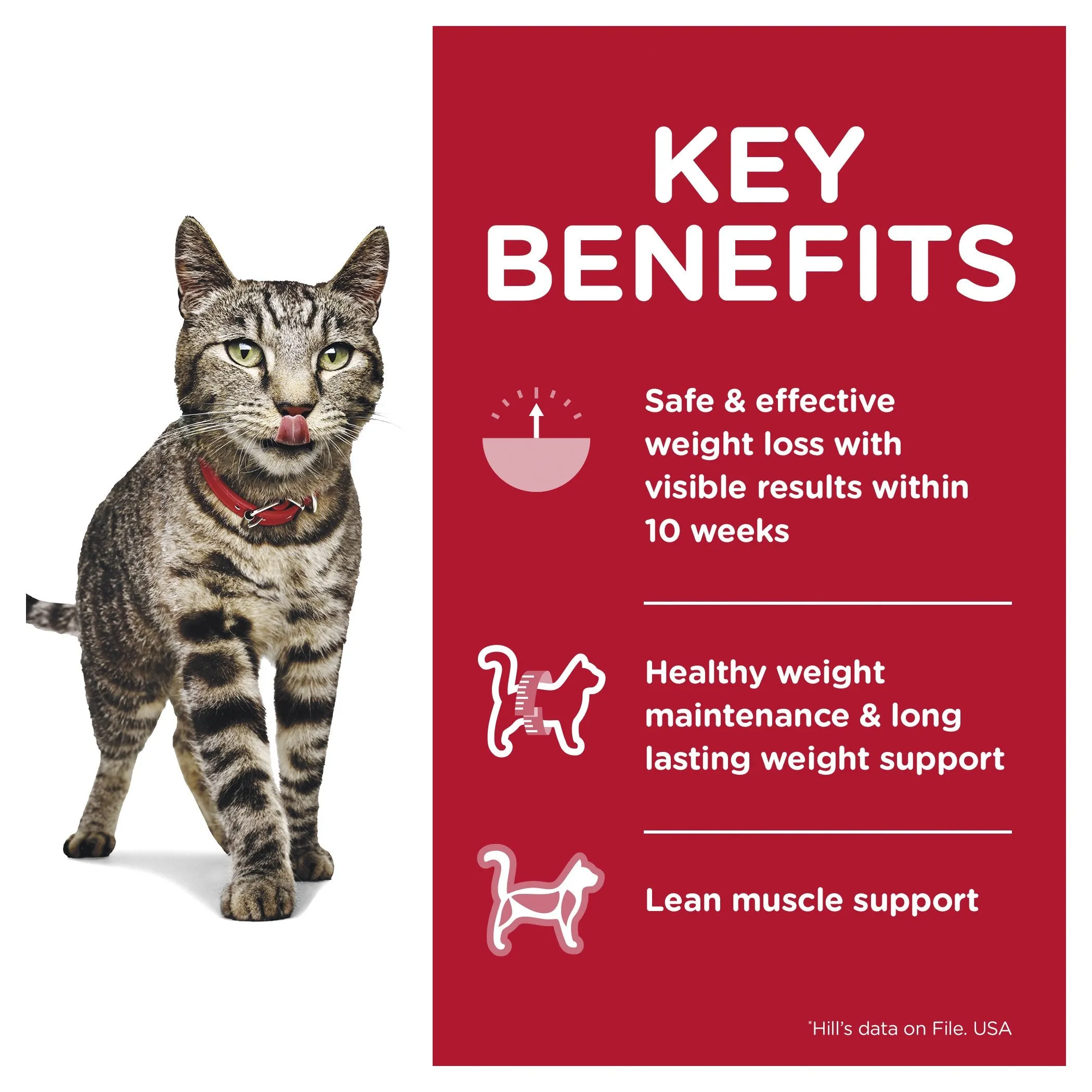 Hills Science Diet Adult Perfect Weight Salmon Cat Food Pouches 85g x 12