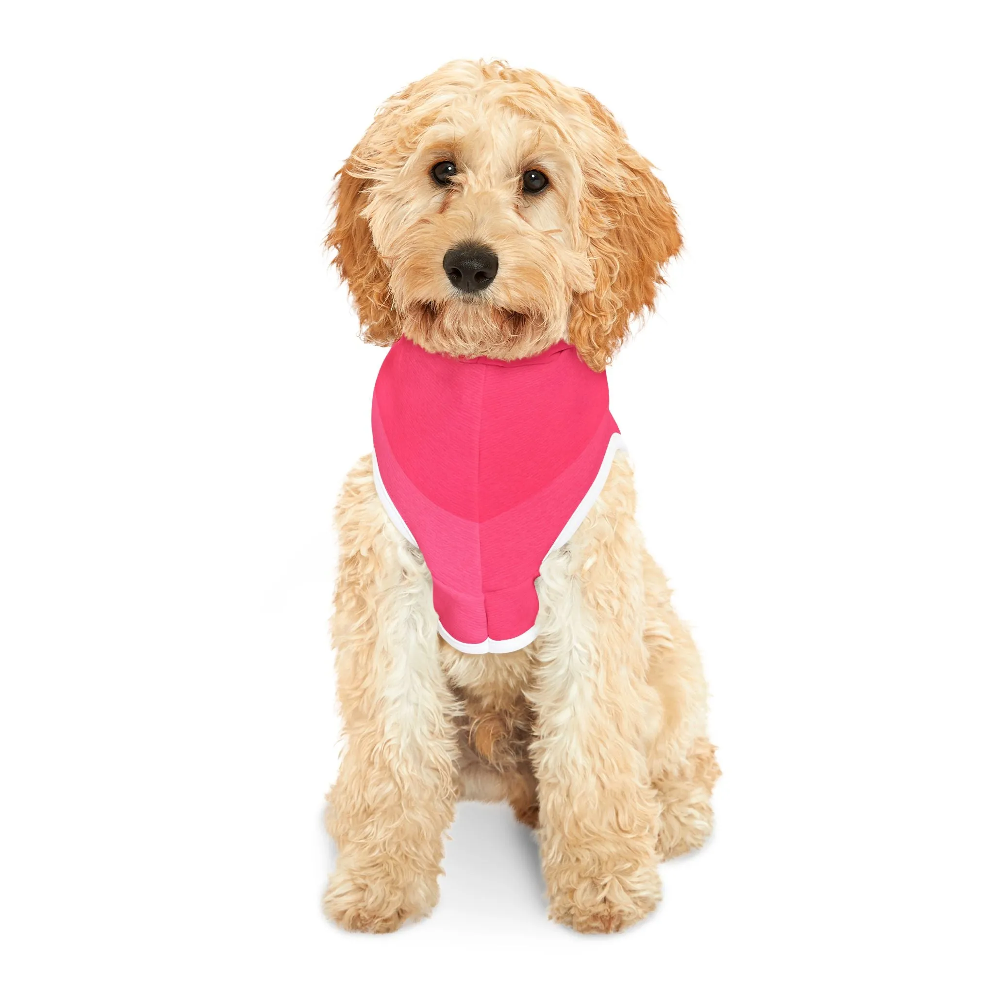 I'm Literally Just a Girl Paired Paws Pullovers Pet Hoodie