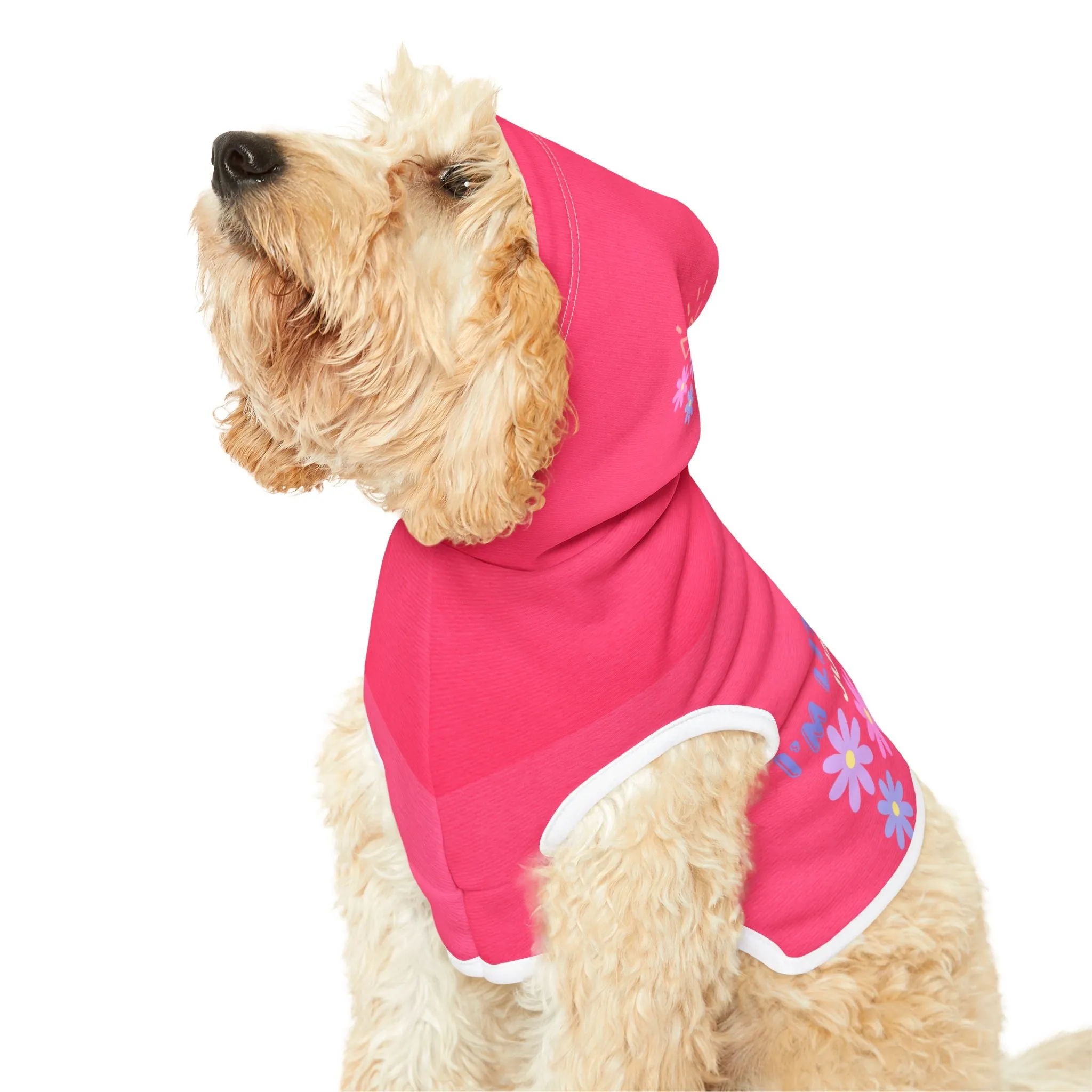 I'm Literally Just a Girl Paired Paws Pullovers Pet Hoodie